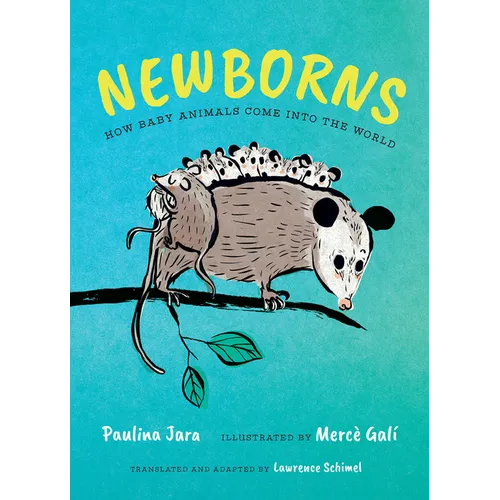 Newborns: How Baby Animals Come Into the World - Hardcover