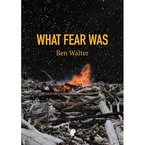 What Fear Was - Paperback