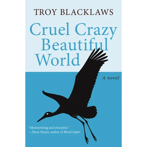 Cruel Crazy Beautiful World - Paperback