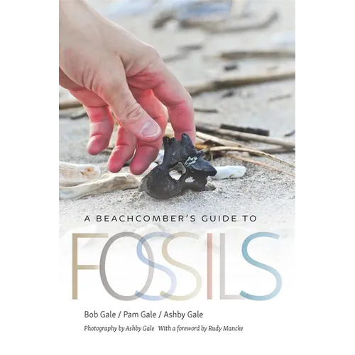 A Beachcomber's Guide to Fossils - Paperback