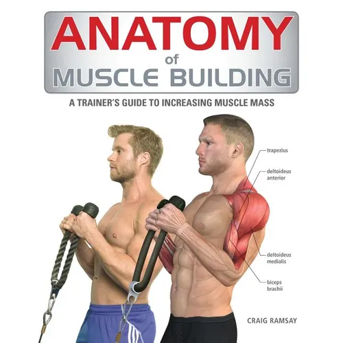 Anatomy of Muscle Building: A Trainer's Guide to Increasing Muscle Mass - Paperback