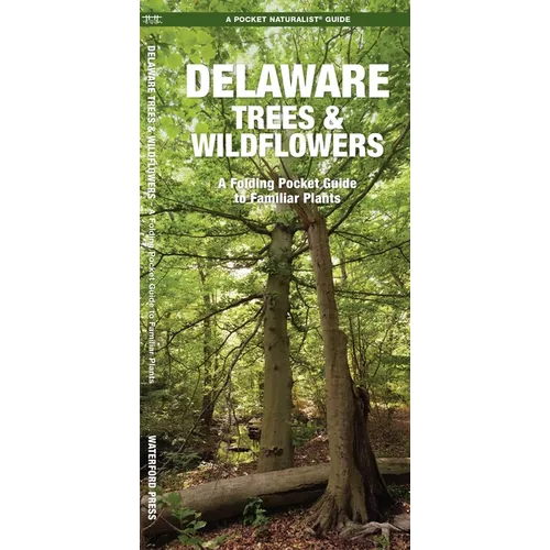 Delaware Trees & Wildflowers, 2nd Ed: A Folding Pocket Guide to Familiar Plants - Paperback