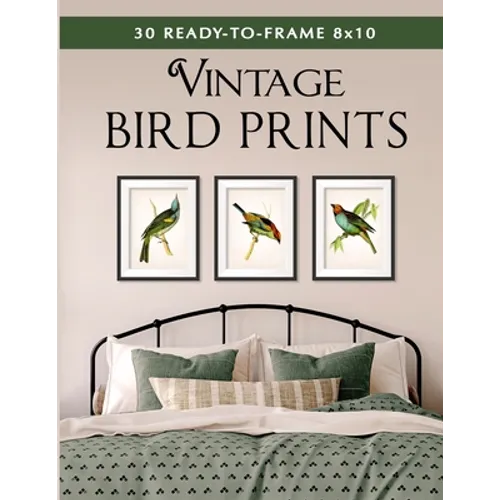 30 Ready-to-Frame 8x10 Vintage Bird Prints - Paperback