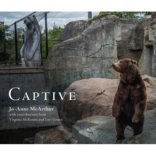 Captive - Paperback
