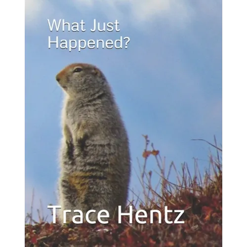 What Just Happened? - Paperback