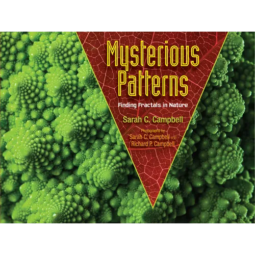Mysterious Patterns: Finding Fractals in Nature - Paperback