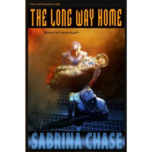The Long Way Home - Paperback