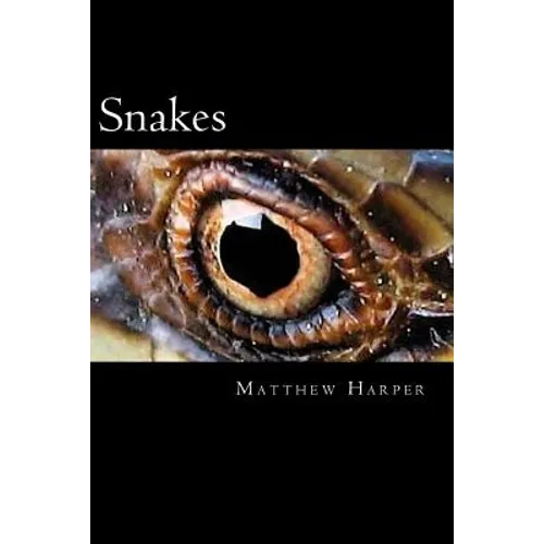 Snakes: A Fascinating Book Containing Snake Facts, Trivia, Images & Memory Recall Quiz: Suitable for Adults & Children - Paperback