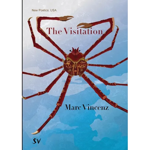 The Visitation - Paperback