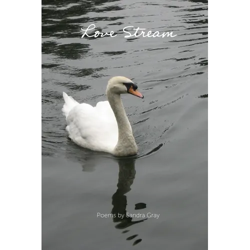 Love Stream - Paperback