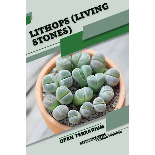 Lithops (Living Stones): Open terrarium, Beginner's Guide - Paperback