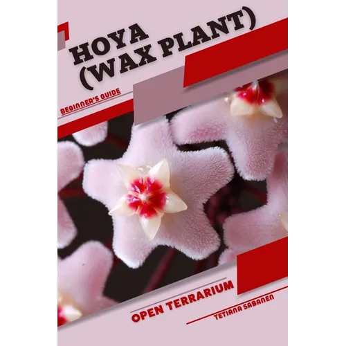 Hoya (Wax Plant): Open terrarium, Beginner's Guide - Paperback
