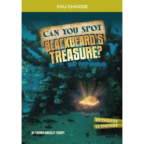 Can You Spot Blackbeard's Treasure?: An Interactive Treasure Adventure - Hardcover