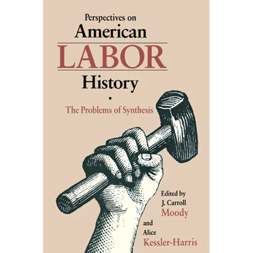 Perspectives on American Labor History: The Problems of Synthesis - Paperback