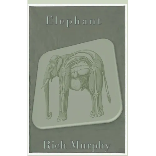 Elephant - Paperback