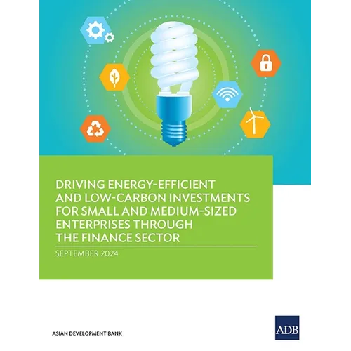 Driving Energy-Efficient and Low-Carbon Investments for Small and Medium-Sized Enterprises through the Finance Sector - Paperback