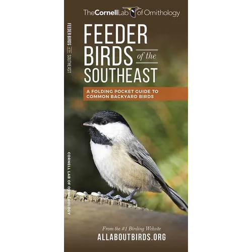 Feeder Birds of the Southeast: A Folding Pocket Guide to Common Backyard Birds