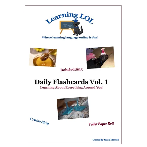 Daily Flashcards Vol. 1: Learning About Everything Around You! - Paperback