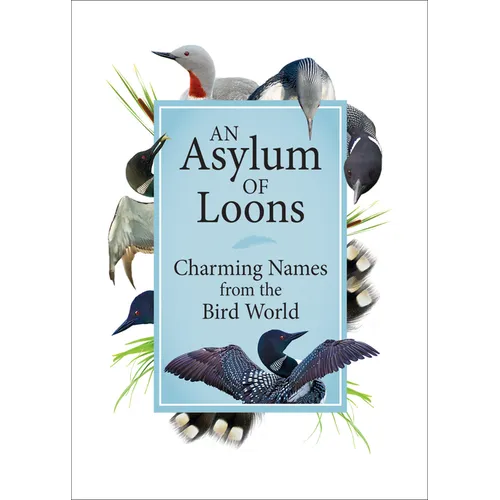 An Asylum of Loons: Charming Names from the Bird World - Hardcover