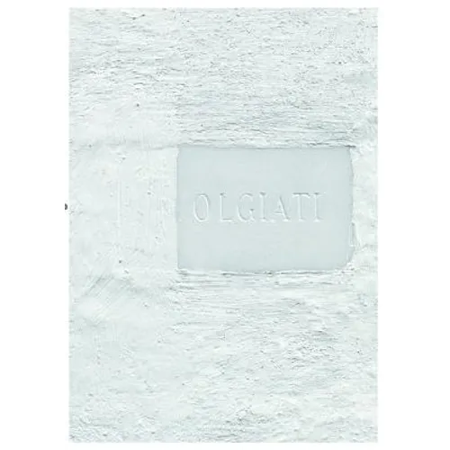 Dado: Built and Inhabited by Rudolf Olgiati and Valerio Olgiati - Paperback