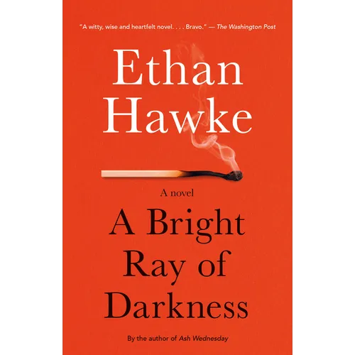 A Bright Ray of Darkness - Paperback