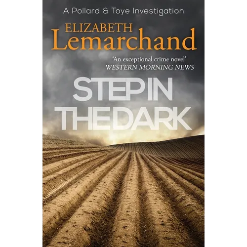 Step in the Dark - Paperback