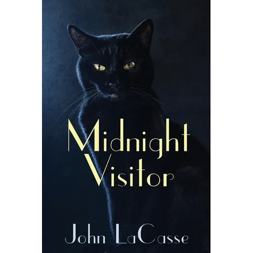 Midnight Visitor - Paperback