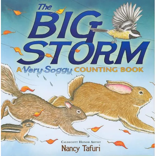 The Big Storm: A Very Soggy Counting Book - Hardcover