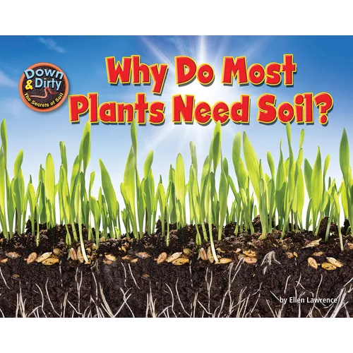 Why Do Most Plants Need Soil? - Paperback