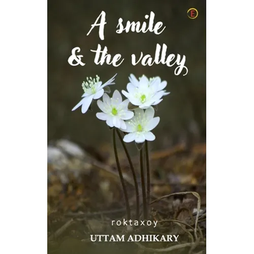 A smile & the valley - Paperback