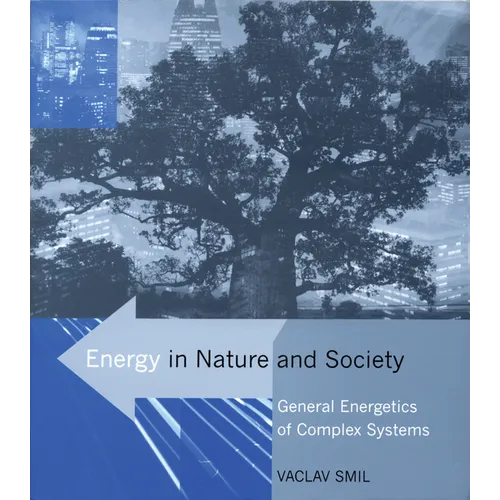 Energy in Nature and Society: General Energetics of Complex Systems - Paperback