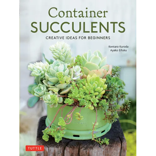 Container Succulents: Creative Ideas for Beginners