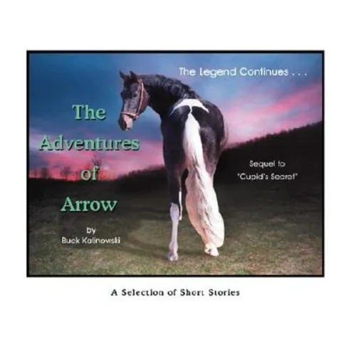 The Adventures of Arrow - Paperback
