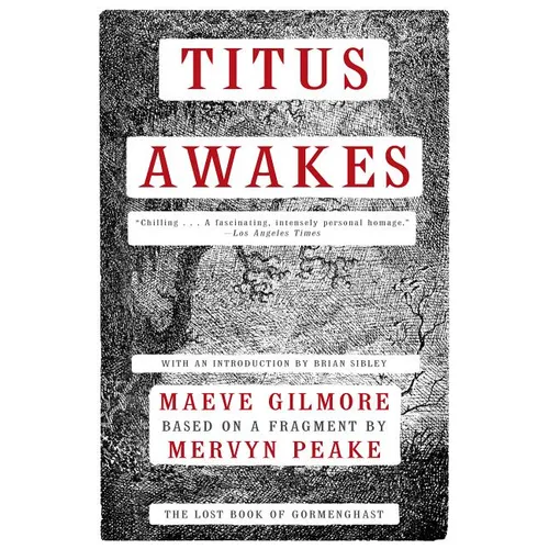 Titus Awakes: The Lost Book of Gormenghast - Paperback