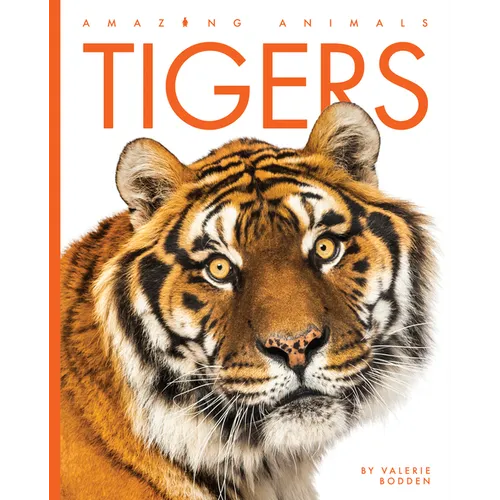 Tigers - Paperback