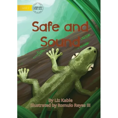 Safe and Sound - Paperback