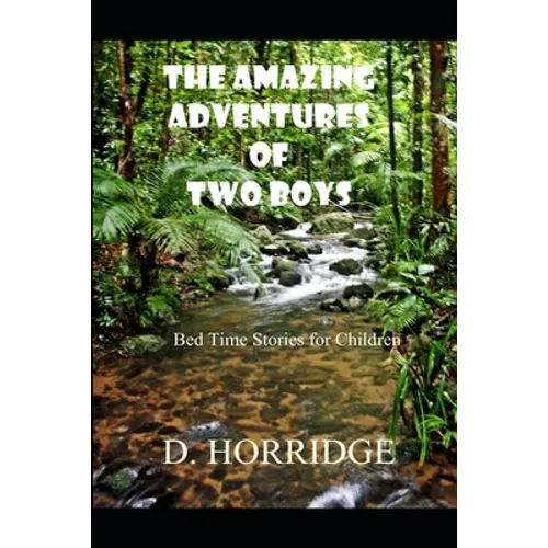 The Amazing Adventures of Two Boys: Bed Time Stories for Children - Paperback