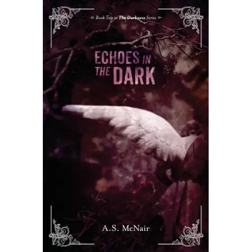 Echoes In the Dark: Book Two in the Darkness Series - Paperback
