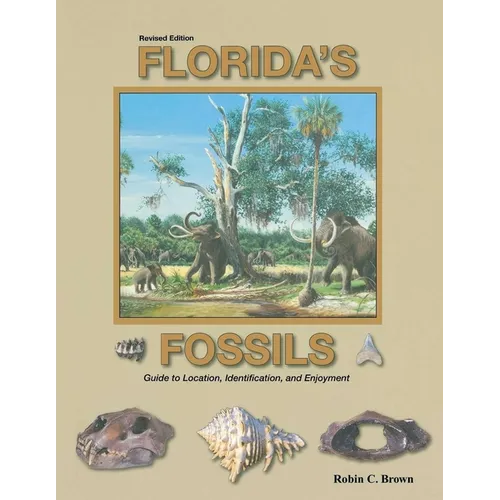 Florida's Fossils - Paperback