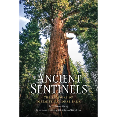 Ancient Sentinels: The Sequoias of Yosemite National Park - Paperback