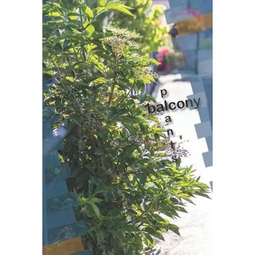 balcony plants - Paperback