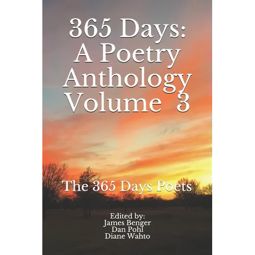 365 Days: Volume 3 - Paperback
