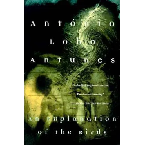 An Explanation of the Birds