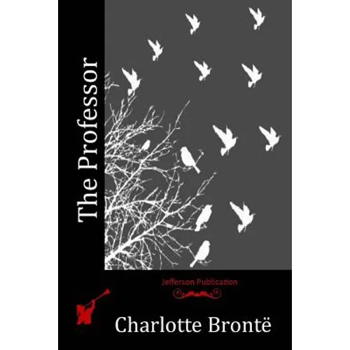 The Professor - Paperback