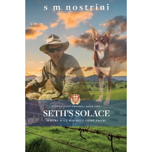 Seth's Solace - Paperback