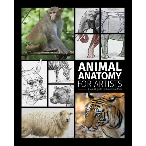 Animal Anatomy for Artists: A Visual Guide to the Animal Form