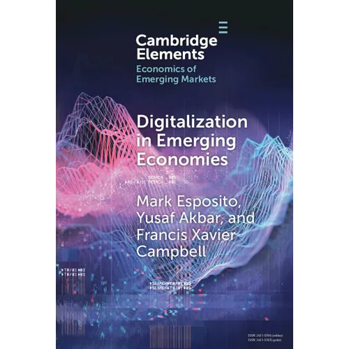 Digitalization in Emerging Economies - Hardcover