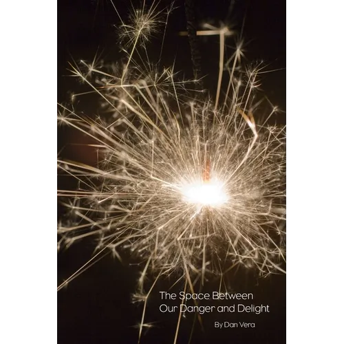 The Space Between Our Danger And Delight - Paperback