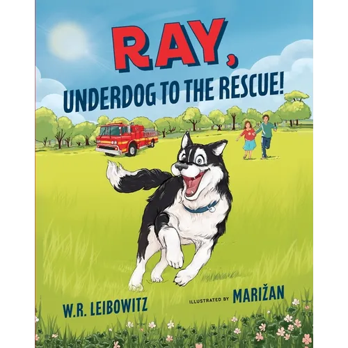 Ray, Underdog to the Rescue! - Paperback
