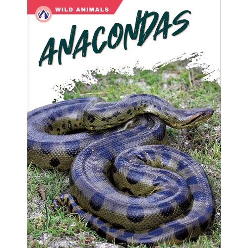 Anacondas - Paperback
